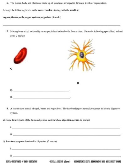 Grade 10 General Science End of Term 1 2026 Exam with Marking Scheme