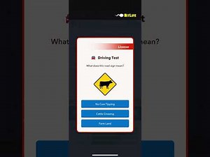 BitLife gameplay….