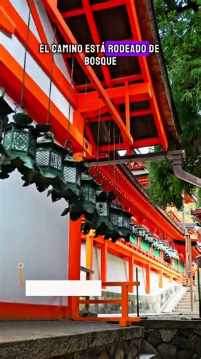 What to see in Nara in a day #japan #nara #travelblog #travel #japan