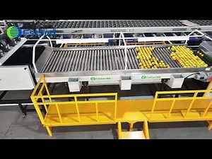 Modern grading Line for Citrus Orange Lemon Processing Plant,Fruit Drying,Waxing Sorting Machine