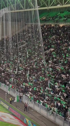 Ambiance Geoffroy-Guichard : Saint-Étienne vs Rodez (10/10/26)