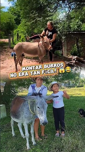 Rural Challenge: Riding bareback donkeys (DO NOT TRY THIS AT HOME... or on the farm 😅🐴) #FunnyVid...