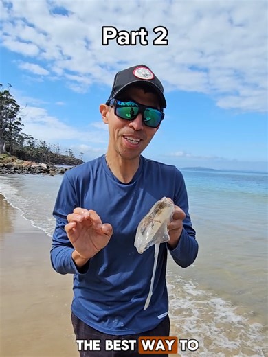 How to Properly Clean a Squid