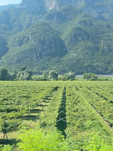 Isamaya ffrench (@isamayaffrench) • Instagram photos and videos