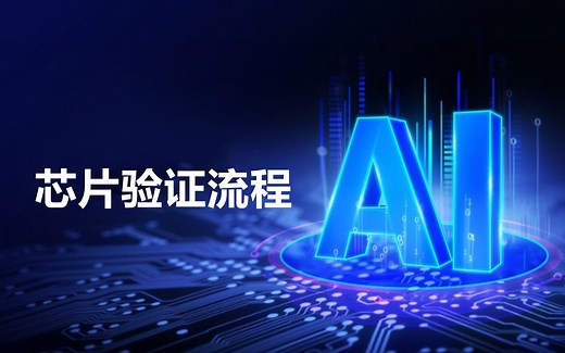 芯片验证流程