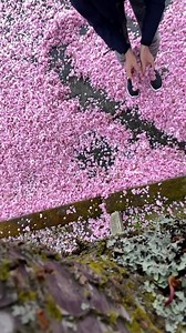 1.9K views · 162 reactions | Storm Large on Reels | Facebook