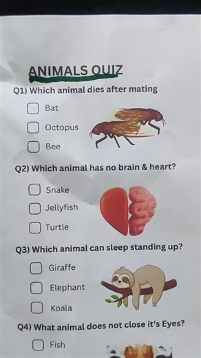 Identify Animals in Our Fun Quiz Challenge