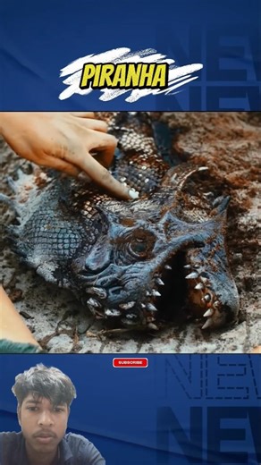 Piranha full movie explain in hindi | Hollywood movie explain | #shorts #viral