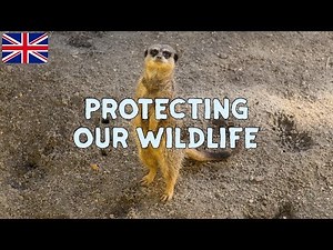 Conservation For Kids