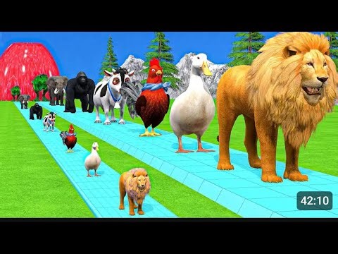 Long Slide Game: Cow, Elephant, Gorilla, Tiger Hippo - Hilarious 3D Animal funny and crazy
