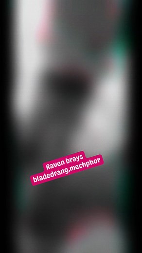 Bray Christopher on Reels