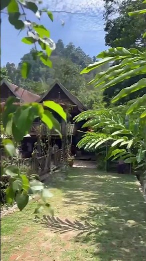 BEAUTIFUL Café Surrounded by Nature & Greeneries 💚