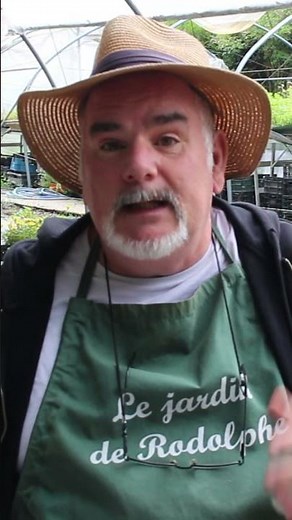We're going to LOSE everything! Part 5 #vegetable garden #garden #permaculture #garden