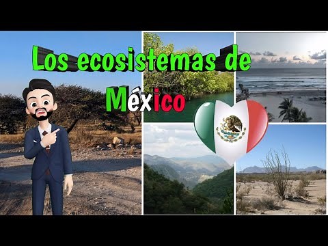 LOS ECOSISTEMAS DE MÉXICO