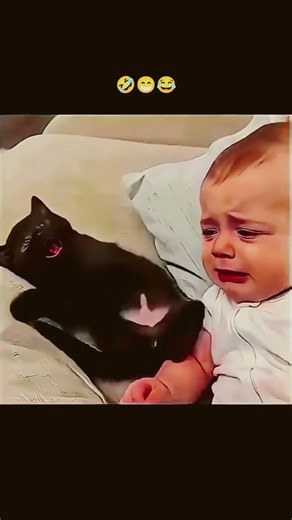 The baby wanted all attention, but the kitten's innocent charm changed the whole story.