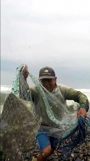 This is real fishing! A net full of aquatic treasures