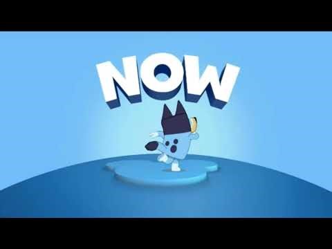 Disney Junior Now More Bluey
