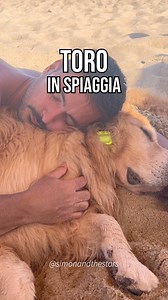 1.1M views · 10K reactions | I segni zodiacali in spiaggia ️☀️️ . . Ref: @milinagatta_ @tgnorba @lorenzo83balducci @golden_frederico @thesullivantwins . . #oroscopo #astrologia #ariete #toro #gemelli #cancro #leone #vergine #bilancia #scorpione #sagittario #capricorno #acquario #pesci #meme #memeitalia #segnizodiacali #lifestyle #sea #spiaggia | SIMON & the STARS | Facebook