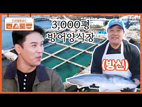 장민호 팀이 찾아간, 양신 아니고 방신 양준혁! 3,000평 방어 양식에 모든 걸 쏟아부은 남자 [신상출시 편스토랑/Fun_Staurant] | KBS 260123 방송