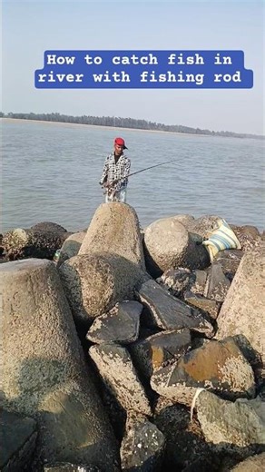 how to catch fish in river with fishing rod