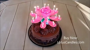 And here we have an awesome pink Lotus Candle™ lighting up on a chocolate birthday cake! Get your Lotus Candles now at http://LotusCandles.com - your birthday parties will get an instant upgrade! | LotusCandles.com