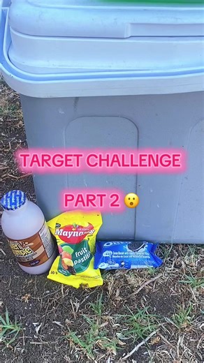 Target Practice Challenge Part 2: Maynards Sweets