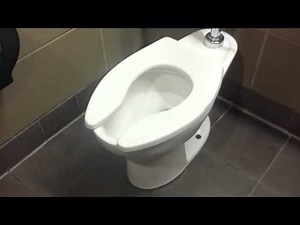 Bathroom Tour: American Standard toilet and urinal at a restaurant
