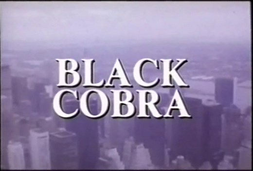 Black Cobra