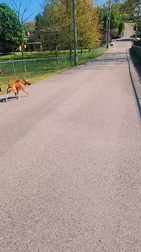 Jessie Fleming on TikTok