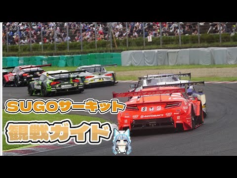 【初心者必見】SUGO サーキット 観戦ポイント/交通アクセスからコーナーの行き方,ピットウォークの様子まで #スポーツランドSUGO #スーパーGT #スーパーフォーミュラ #スーパー耐久