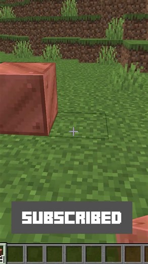 169 Illegal Minecraft Experiments @Bubuplayz