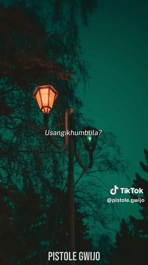 Replying to @ayanda.dlamini01O Impilo Imile Sthandwa Sami (Gwijo) | Lyrics #gwijo2024 #gwijo #gwijorsa #pistolegwijo #gwijo2023 #gwijo #gwijorsa #gwijokings #pistolegwijo #gwijoliyaphilisa #gwijosongs #fyp