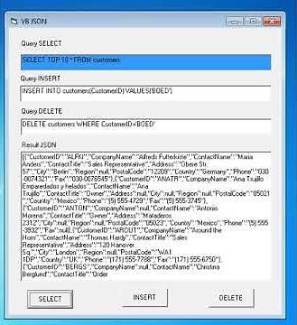 Visual Basic JSON