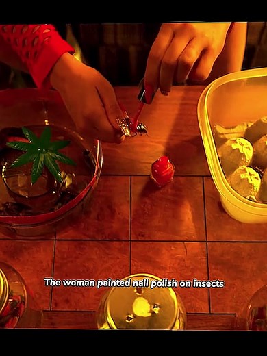 #movie #movierecap #movieexplained #thebestmovie#foryou