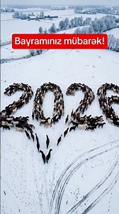 Yeni iliniz mübarək 2026! #yeniil #yeniil2026 #2026 #trending #shorts #shortvideo