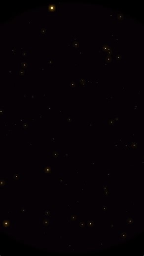 The greatest gift Santa gives? A healthier, happier dog. WHOLEify for all. WHOLEify.com | Lisa St John