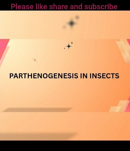 Parthenogenesis in insect and types of parthenogenesis