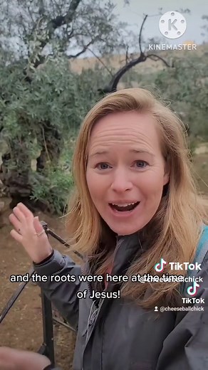 Mount of Olives in Jerusalem: History, Story, and Travel Tour