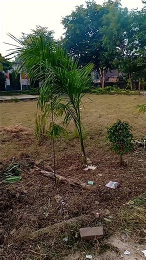 #nature #naturevlog #youtubeshorts #minivlog #funny