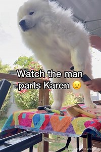 633K views · 10K reactions | Many of you asked, do the Wolfpack have...