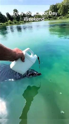 Não Olhe O Áudio...😱‼️