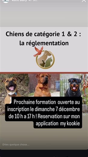 Prochaine journée de formation le dimanche 7 décembre de 10 heures à 17h à Vitry aux loges. Les inscriptions sont ouvertes sur mon application myKookie. Belle journée à tous | Choubidog45 éducatrice canine