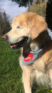 ♥️♥️♥️♥️♥️♥️♥️♥️♥️♥️♥️♥️♥️♥️ | Smiley