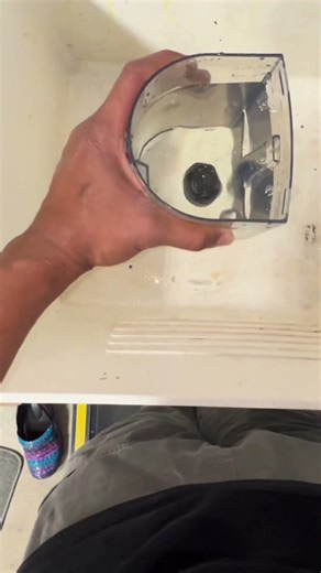 Lavender Enzyme Cleaner Tested on Worst Stains