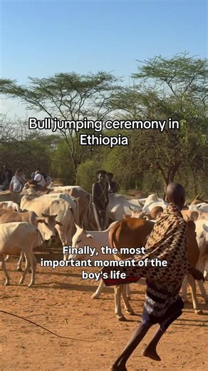 Experiencing the Bull Jumping Ceremony in Ethiopia