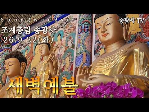 송광사TV 26.9.22 새벽예불