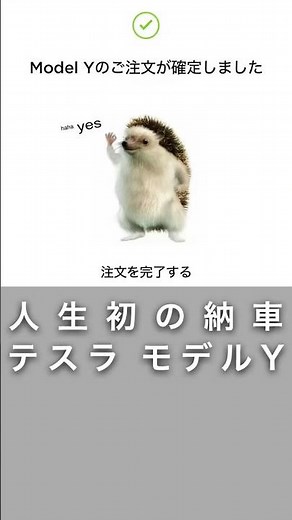人生初の納車がテスラ モデルY｜購入のきっかけと、購入から納車までの流れ