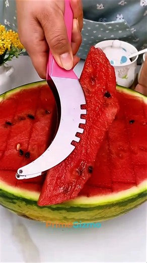 Stainless Steel Watermelon Cutter #shorts #gadgets #products