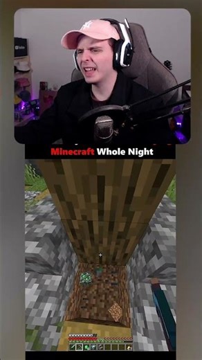 mi bro y yo jugando minecraft