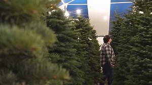 The do's and don'ts of Christmas tree safety